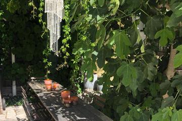Photo 36