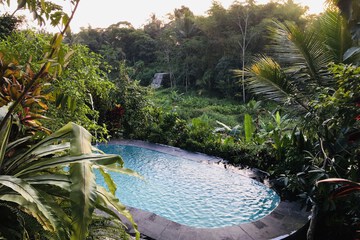 Natural pool