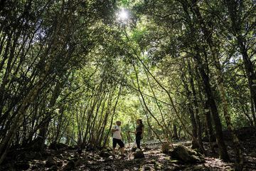 Hiking