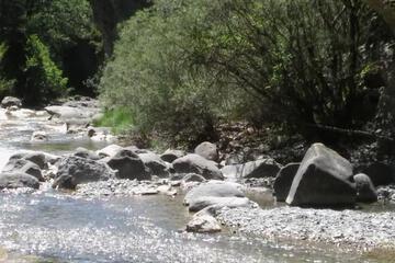 Photo 52