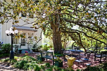 Terrace/Patio 37 of 44