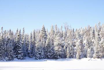Snowshoeing