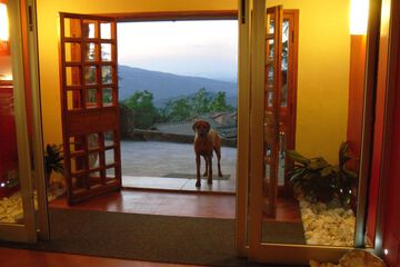 Pet-friendly