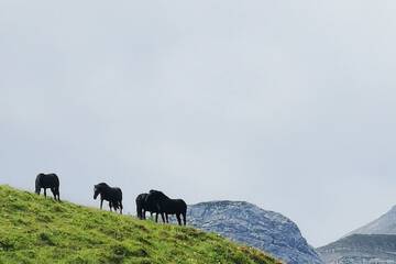Mountain view