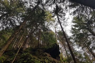 Ecotours