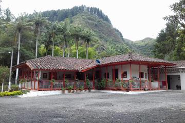Photo 21