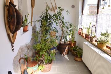 Photo 33