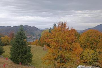 Photo 48