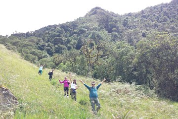 Hiking