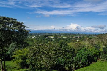 Land view from property