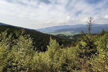 Photo 24