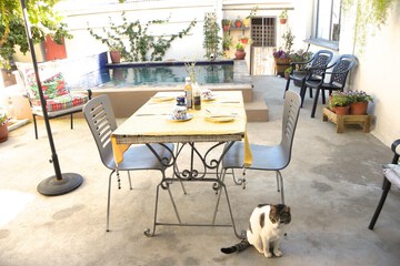 Photo 27