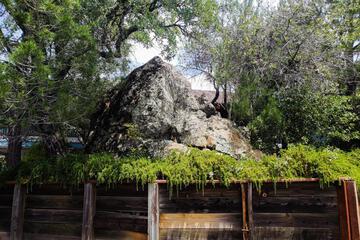 Photo 46