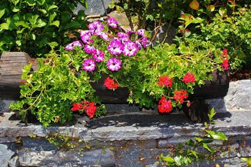 Photo 29