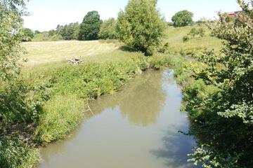 Photo 37