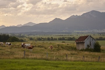 Land view from property
