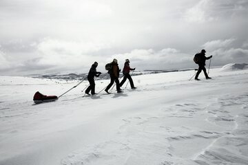 Skiing