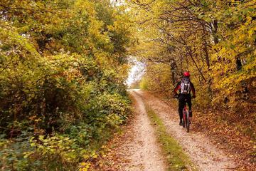 Bicycling