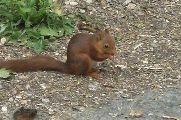 Photo 28