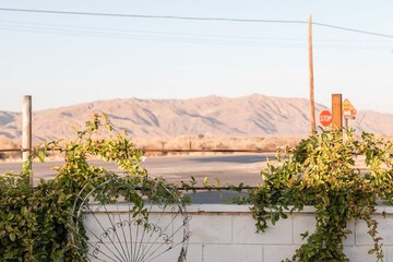 Outdoor banquet area