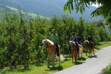 Children's activities