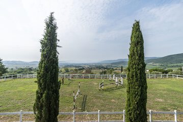 Horseback riding