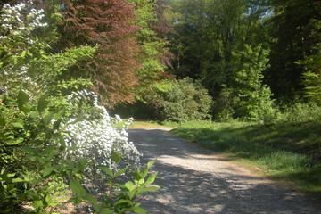Photo 29