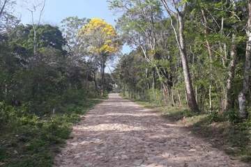 Hiking