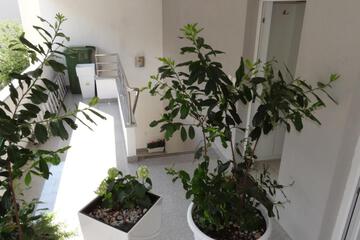 Photo 51