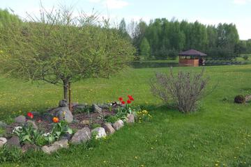 Photo 25
