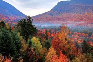 Children's activities