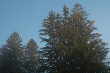 View from Hotel