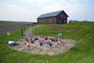 Natural pool