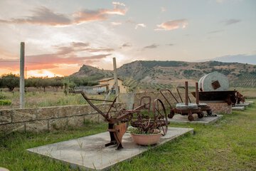 Land view from property