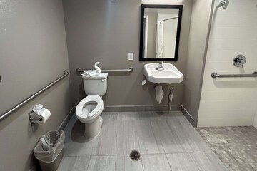 Accessible bathroom