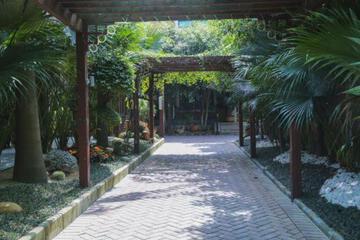 Photo 22