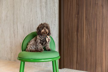 Pet-friendly