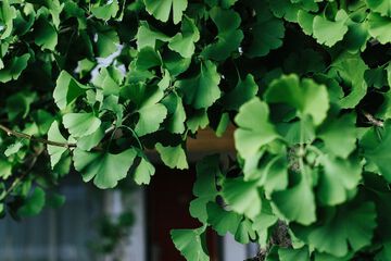 Hotel Exterior 116 of 137