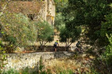 Photo 28