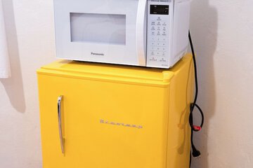 Mini-refrigerator