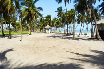 Beach or Ocean View