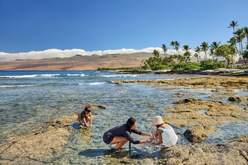 Children's activities