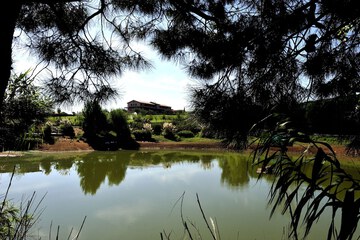 Lake