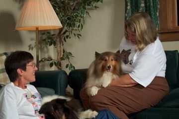 Pet-friendly