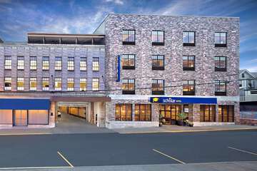 Scholar Morgantown Tapestry Collection by Hilton