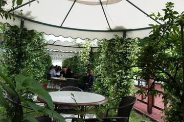 Photo 47