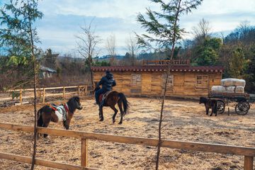 Horseback riding