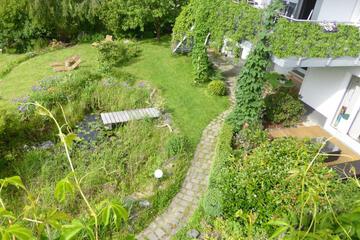 Photo 62