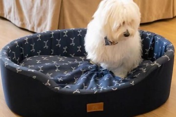 Pet-friendly amenities