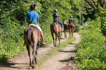 Horseback riding